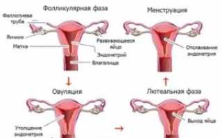 Морально не готова к ежемесячным менструациям