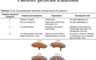 Для 30-31 недели II степень зрелости — это норма?