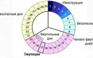 Когда должны прийти месячные?