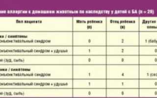 Может ли пищевая аллергия спровоцировать аллергию на кошку?