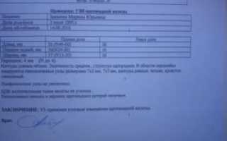 Расшифровка результатов УЗИ