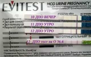 Через сколько дней после задержки тест покажет беременность?