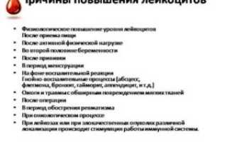 Повышены лейкоциты в крови