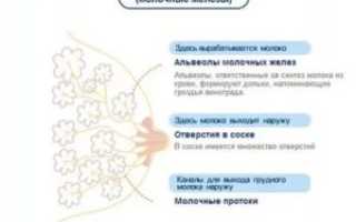 Грудь увеличилась и болит, но месячным не время