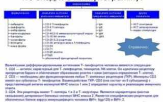 Что должно входить в иммунограмму?
