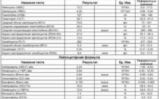 Пояснение результатов анализов