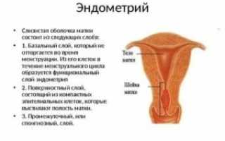 Можно ли забеременеть при такой толщине эндометрия?
